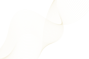 Accent BG taxplan 300x200